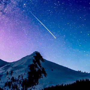 Meet your Posher, Vasi